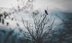 公司办公室最忌讳坐哪里 禁忌座位