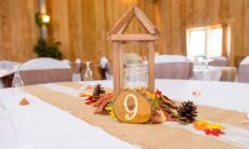 2022年7月24日宜出嫁娶妻吗 农历六月二十六今日黄历