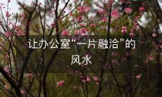 让办公室“一片融洽”的风水