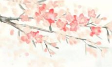 2023年3月7日适合店铺开业吗 店铺开张好吗