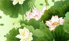 2023年2月23日开业吉利吗 老黄历查询