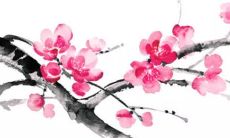 2022年腊八开业好吗 是开业大吉日吗