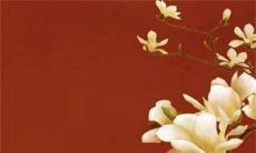 2023年3月3日是开业好日子吗 是吉祥营业时机吗?