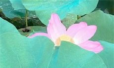 2023年2月27日是宜开业的吉日吗 黄历宜忌查询