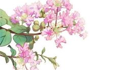 2023年2月25日平安节是开业吉日吗 是不是开业良机