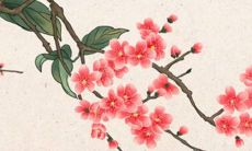 2023年3月9日开业吉利吗 老黄历查询