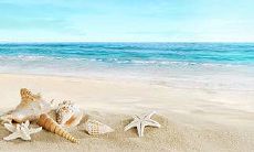 鱼缸能随意放吗 放置鱼缸的一些注意事项