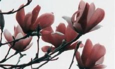 2023年2月28日开业做生意好不好 这天日子好不好