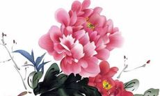 2023年2月26日是开业黄道吉日吗 日子好不好