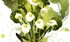 2023年3月2日开业日子好不好 是开业黄道吉日吗