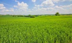 女老板的办公室风水应该如何布局好