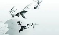 2023年2月20日雨水适合开业做生意吗 今日是开张好日子吗