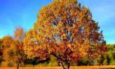 办公室风水有哪些禁忌要注意