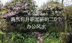 晦气你升职加薪的二0个办公风水