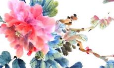 2023年2月24日开业日子好吗 这天店铺开张好不好