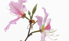 2023年2月21日适合店铺开业吗 店铺开张好吗