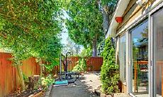 生旺财运的开运植物有哪些适合摆放在家里