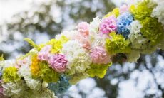 2023年1月1日元旦可以结婚吗 农历腊月初十举办婚礼如何