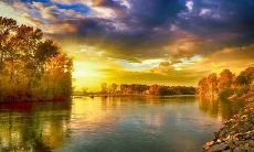 办公室可以放榕树盆景风水好吗