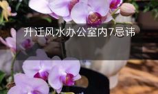 升迁风水办公室内7忌讳