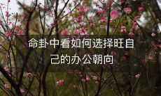 命卦中看如何选择旺自己的办公朝向