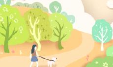 属猪办公室风水布局注意事项