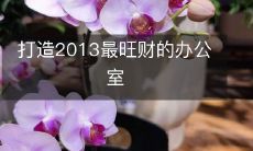 打造2013最旺财的办公室