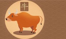 属牛容易当官的时辰 什么时候出生有官运