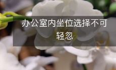 办公室内坐位选择不可轻忽