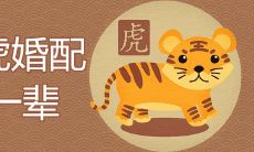 牛虎婚配穷一辈是真的吗 结婚能到老吗