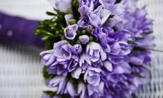 2022年6月27日宜出嫁娶妻吗 农历五月二十九今日黄历