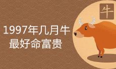 1997年几月份的牛最好命富贵