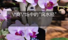 "商"场中的“风水经”