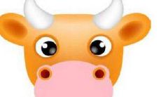 2021年属牛人在办公室如何摆放发财树