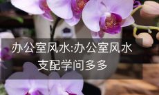 办公室风水:办公室风水支配学问多多