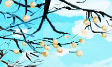 阴宅风水：详解什么叫做砂？