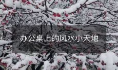 办公桌上的风水小天地