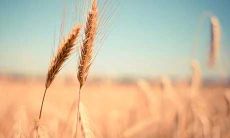 办公室里应该怎样化解小人