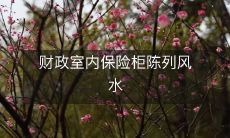 财政室内保险柜陈列风水