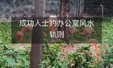 成功人士的办公室风水轨则