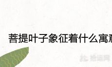 菩提叶子象征着什么寓意