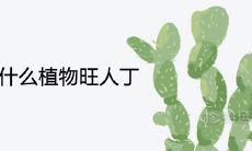 家里种什么植物旺人丁风水好