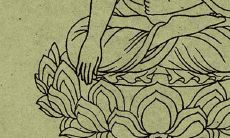 为什么阳台盆栽桂花难养 风水寓意不吉利吗