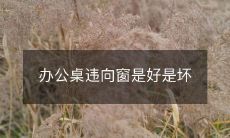 办公桌违向窗是好是坏