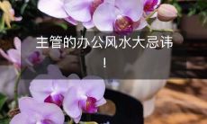 主管的办公风水大忌讳!