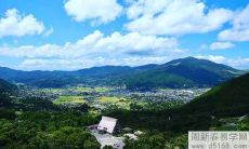 属牛办公室风水布局分析