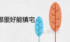 竹子种在大门外哪里好能镇宅