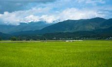 办公室茶几摆放的风水讲究有哪些