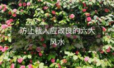 防止裁人应改良的六大风水