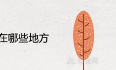 棕树不能栽在哪些地方